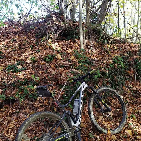 Apartment Casa Laurenta