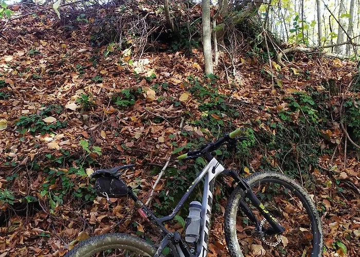 Apartment Casa Laurenta