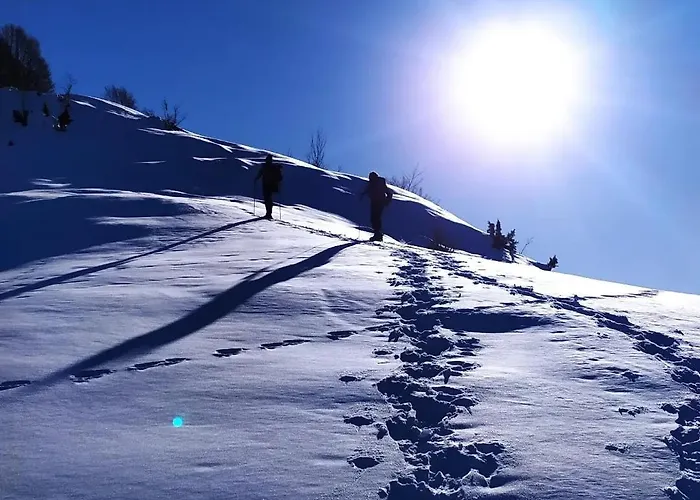 Casa Laurenta Appartement *