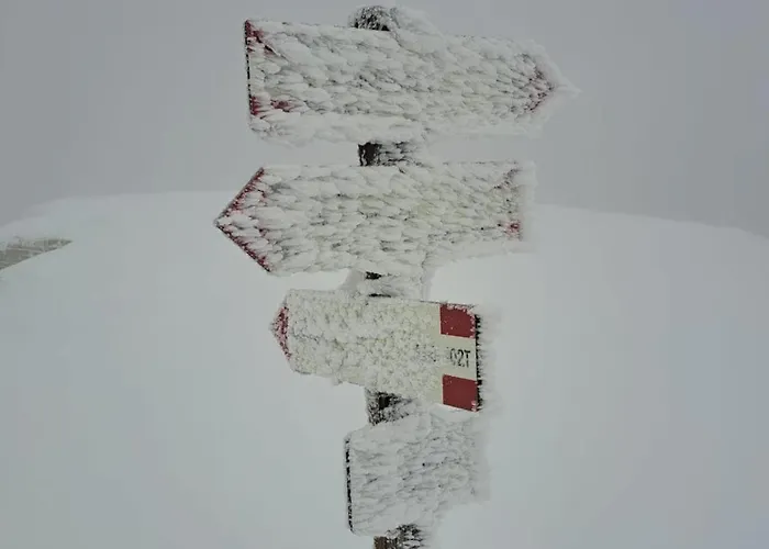 Casa Laurenta شقة